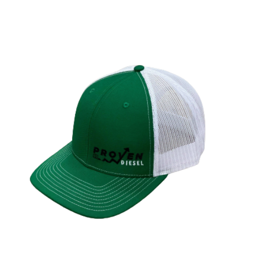 Green & White Snapback Hat