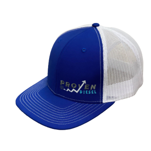 Blue & White Snapback Hat