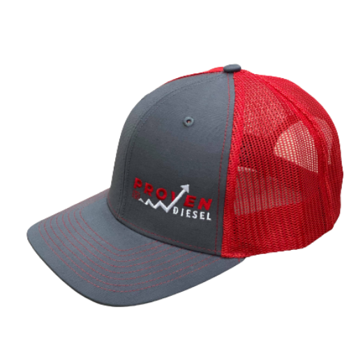 Gray & Red Snapback Hat (Red Lettering)